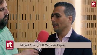 Entrevista Miguel Abreu Magnolia Amplify