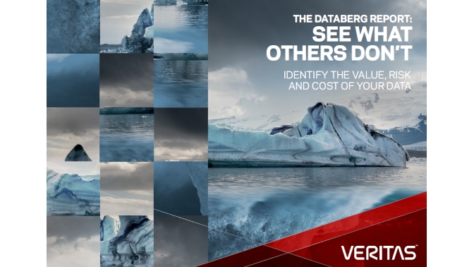 Informe Databerg 2015 Veritas Technologies