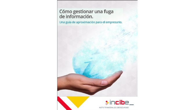 WP_gestionFugaInformacion