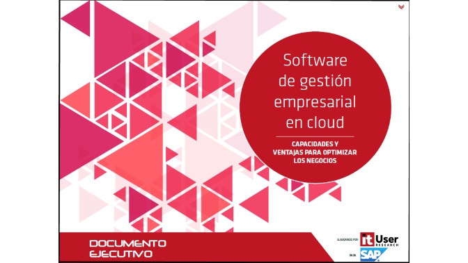 WP_software_gestionEmpresarial_2