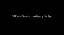vid_SAP_Gigas_NetApp
