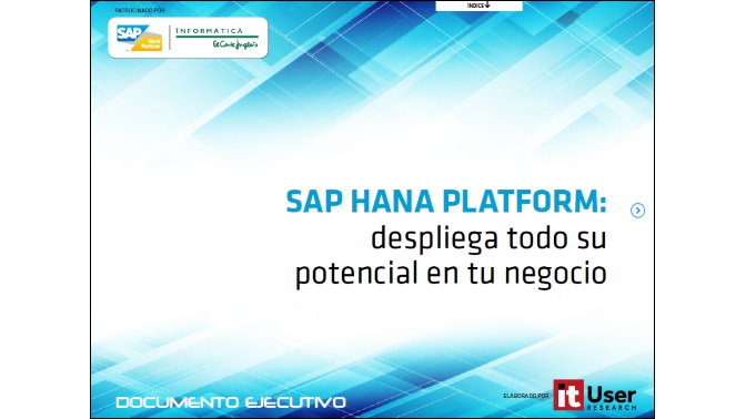 wp-sap-hana-platform