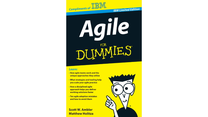 WP Agile for dummies