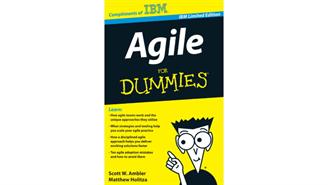 WP Agile for dummies
