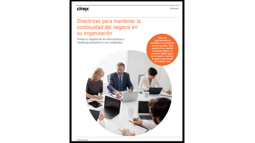 Directrices CItrix