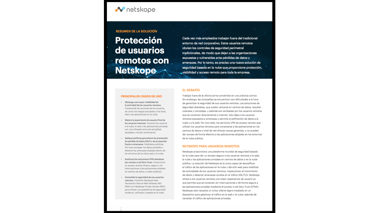 netskope_solution