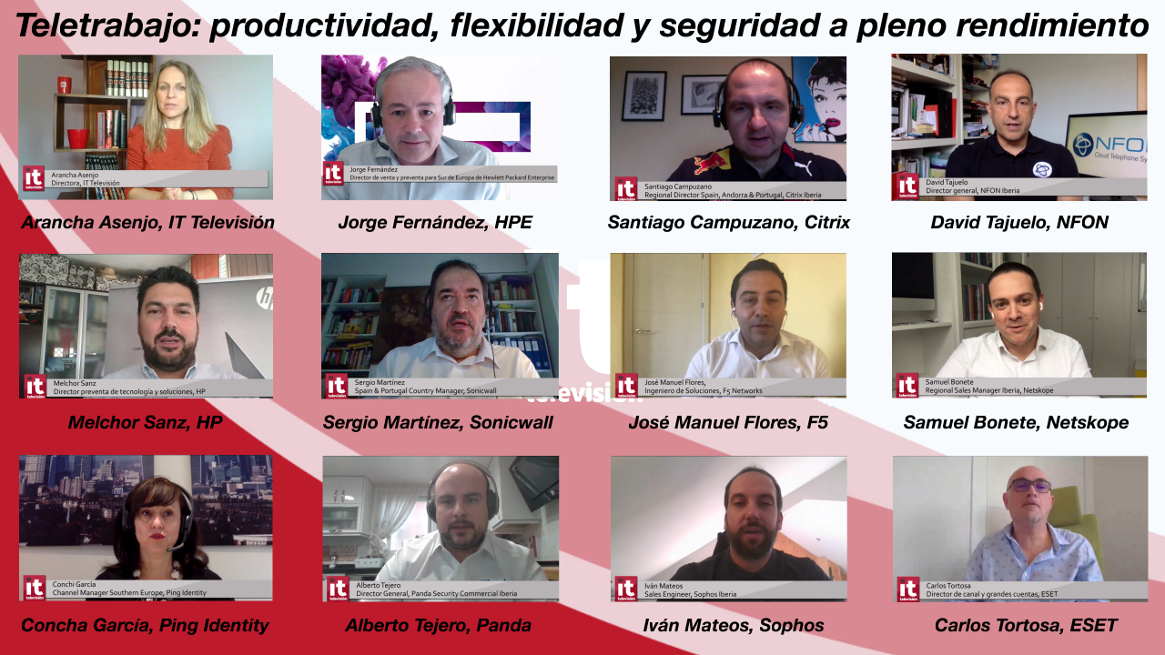 participantes_webinar Teletrabajo