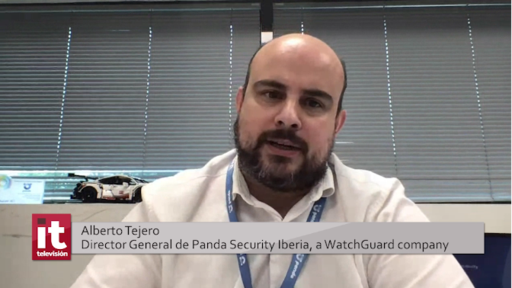 WB Panda