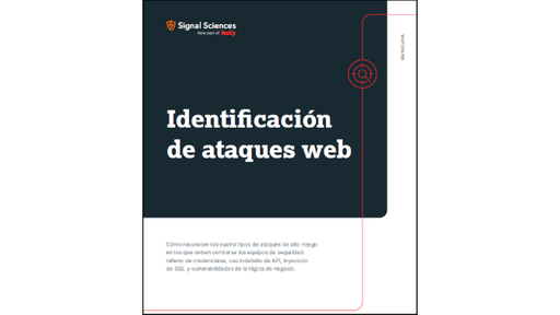 Portada WP Identificación de ataques web