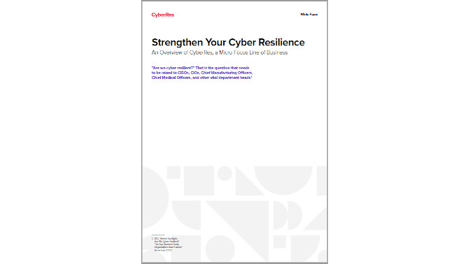 WP CyberRes