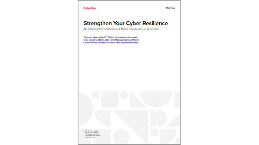 WP CyberRes