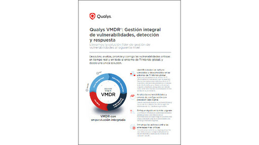 WP Qualys
