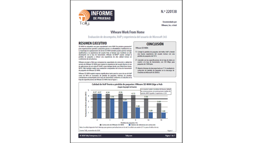 Informe de pruebas: VMware Work from Home