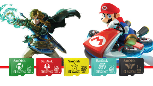 WD SanDisk Nintendo