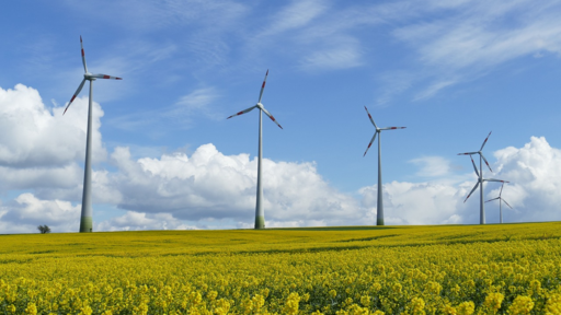 wind-power