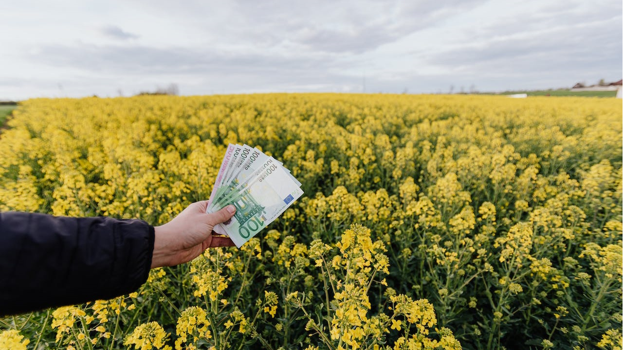 Economía ecodigital
