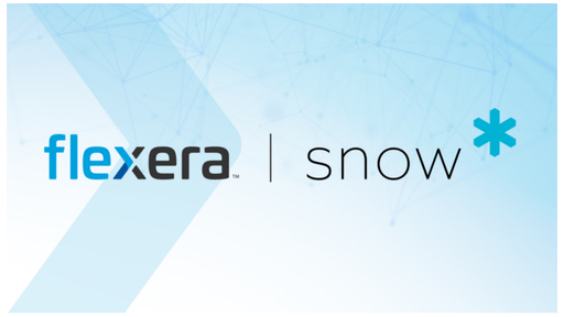 Flexera Snow