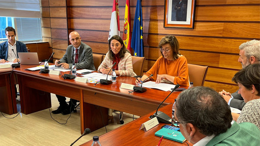 Castilla Leon Mesa Telecomunicaciones y Digitalizacion