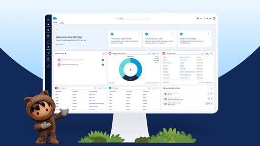 Salesforce Foundations