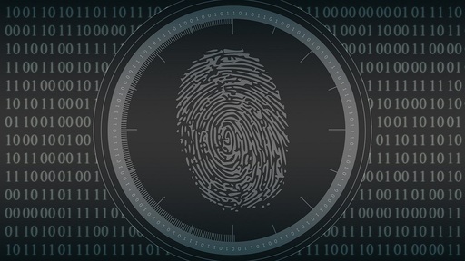 Biometria Zero Trust