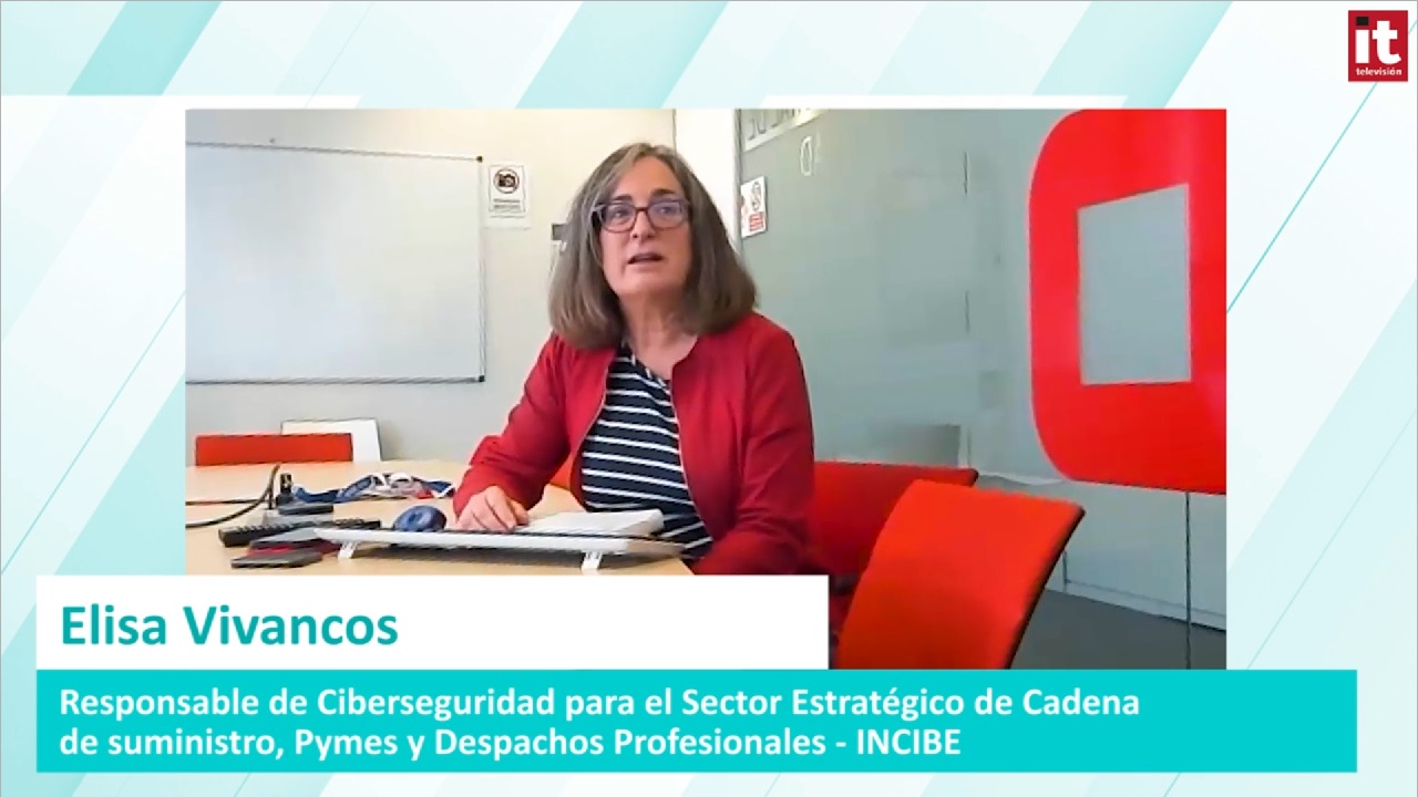 Elisa Vivancos Incibe