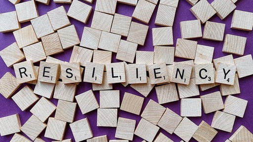resiliencia