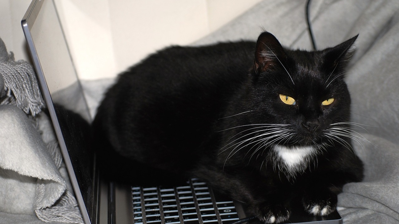 supersticion digital