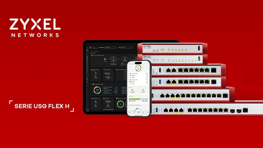 Zyxel serie USG Flex H