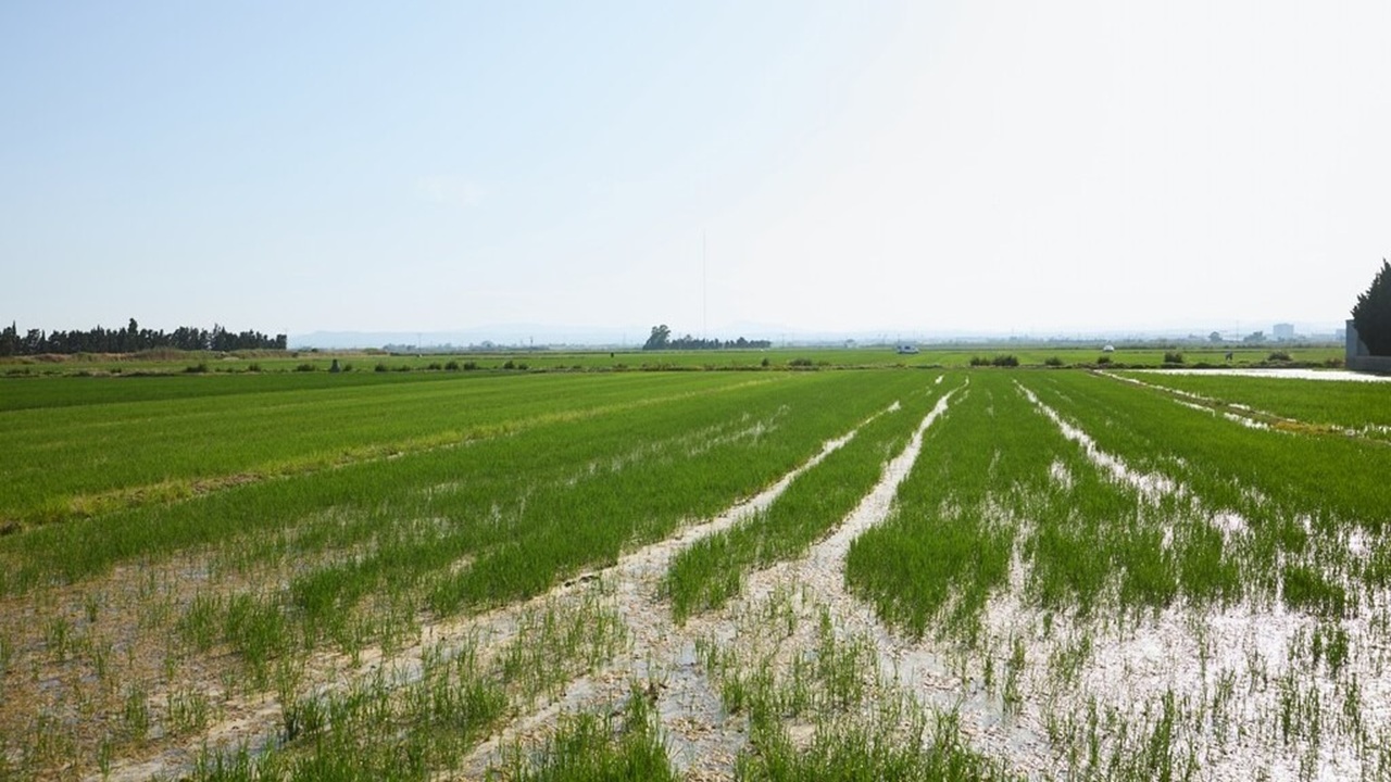 GOVTECH 3 València Albufera