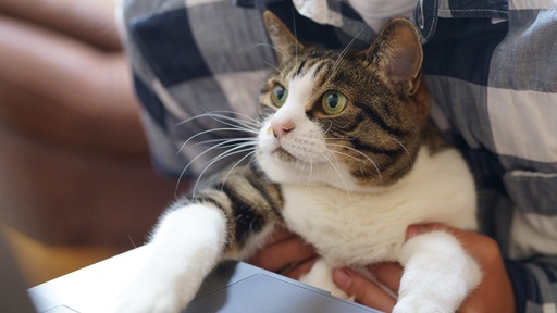 Sindrome posvacacional