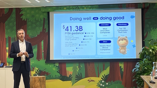 Enrique Polo de Lara Salesforce