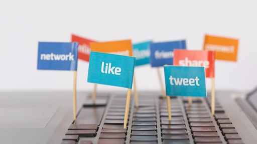 Derecho rectificación