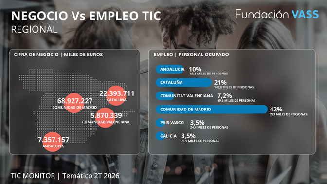 Fundacion VASS TIC monitor