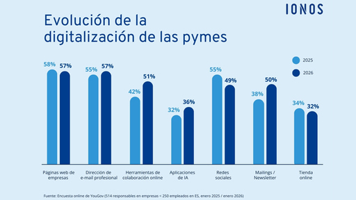 IONOS estudio pymes