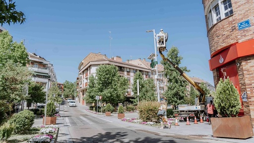 Rozas